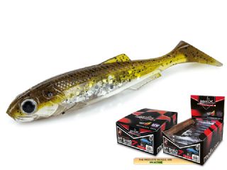 Molix RT Shad 7 inch - 